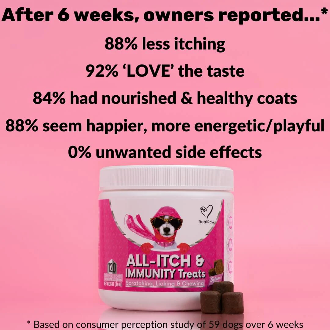 All-Itch & Immunity Treats BOGO - Image 5