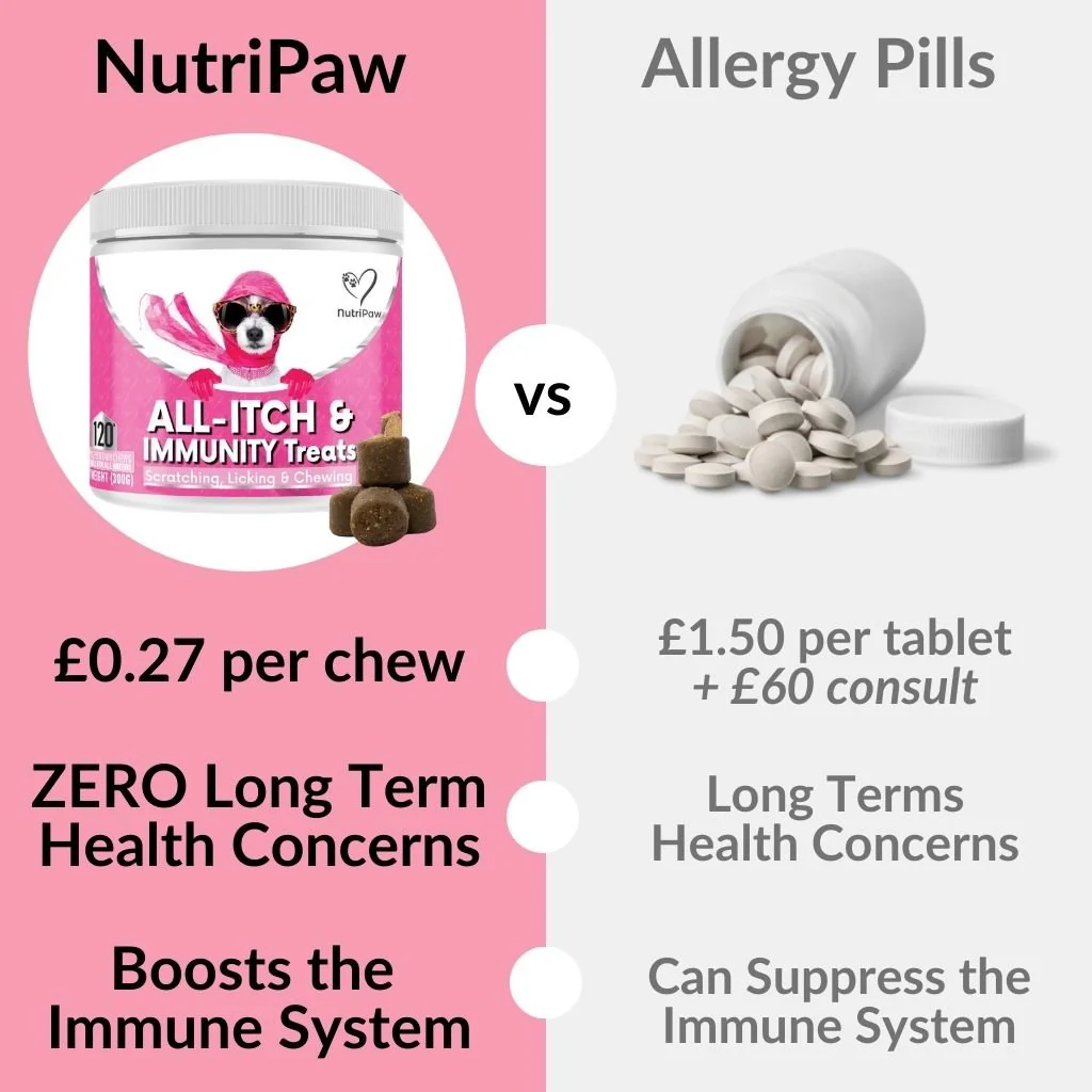 All-Itch & Immunity Treats BOGO - Image 7