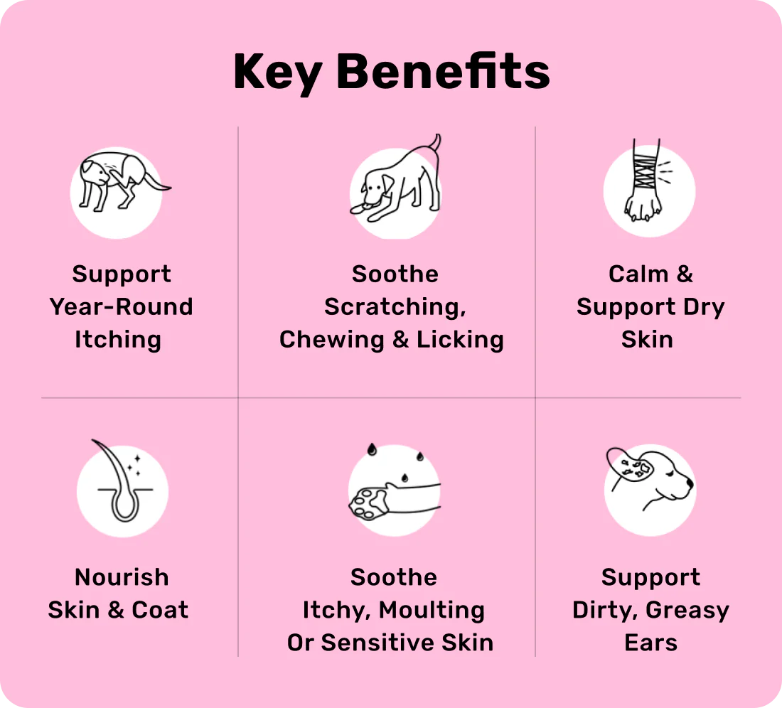 All-Itch & Immunity Treats - Image 3