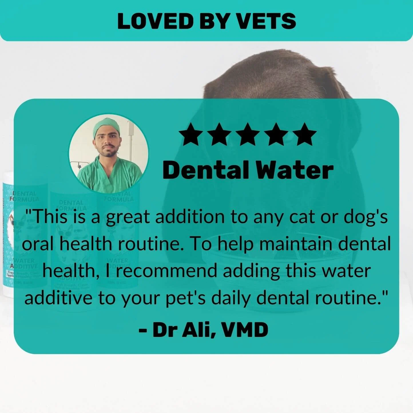 Dental Formula Water Additive - Image 5