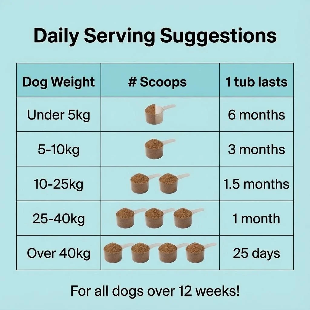 Dental Powder - Image 10