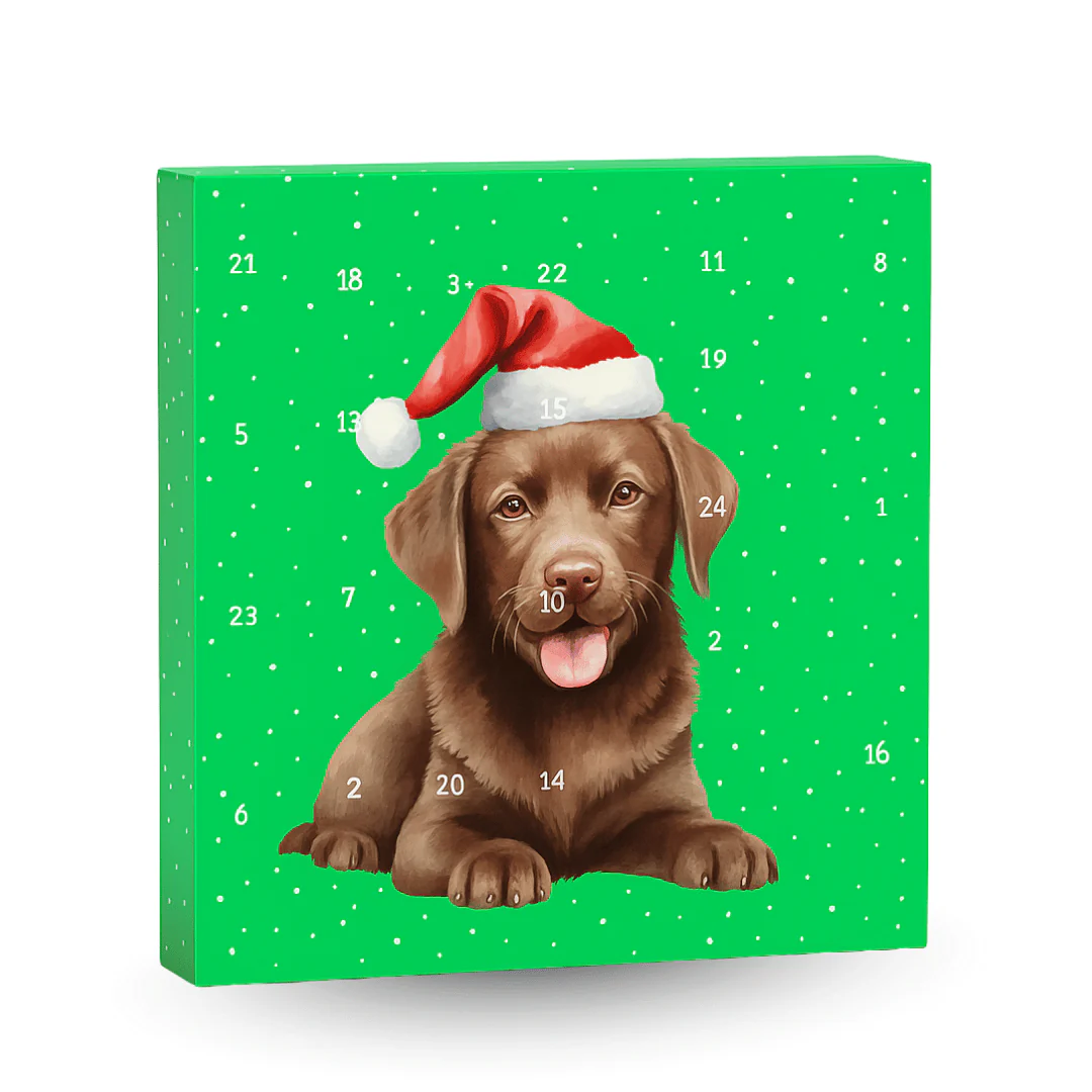 Dog Advent Calendar