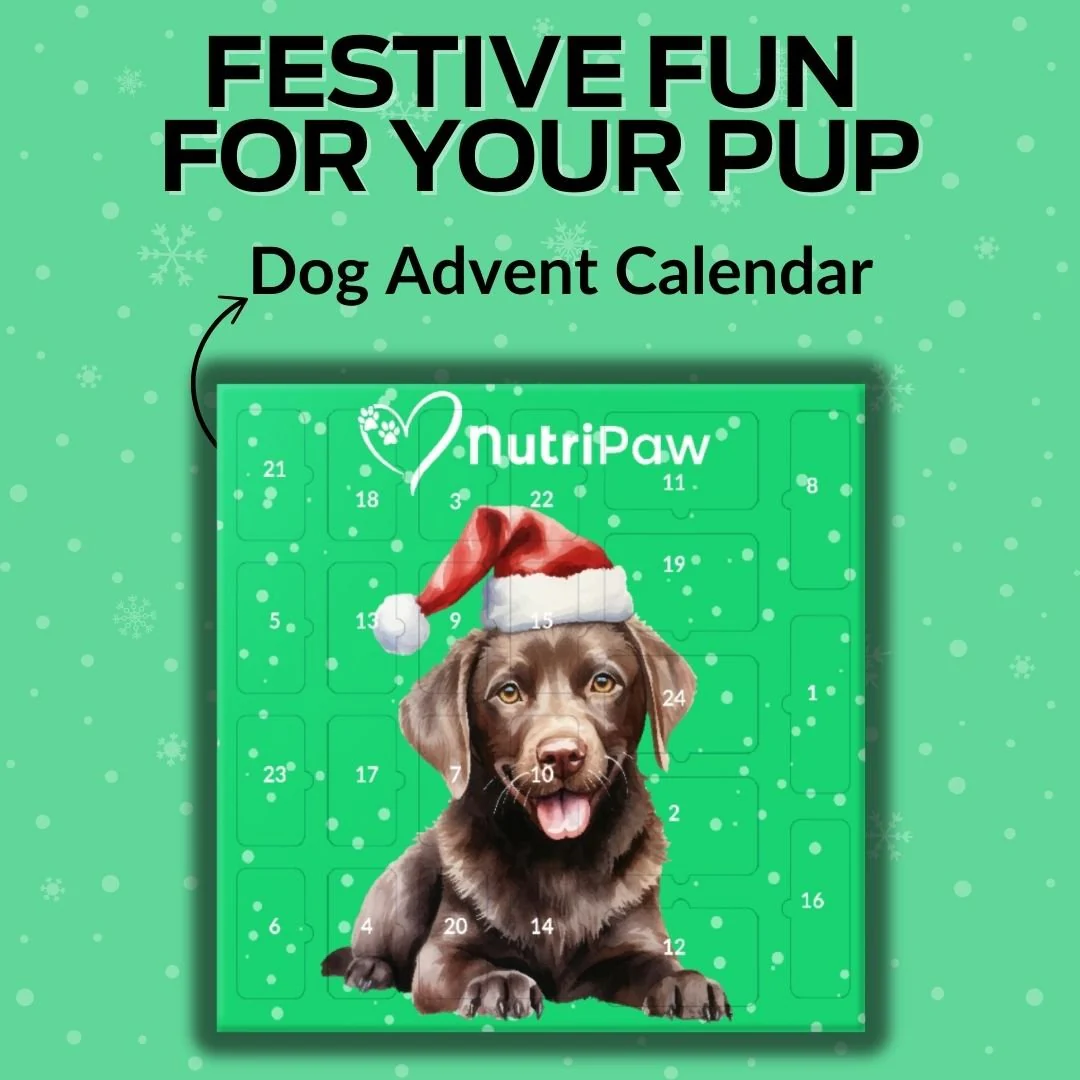 Dog Advent Calendar - Image 2