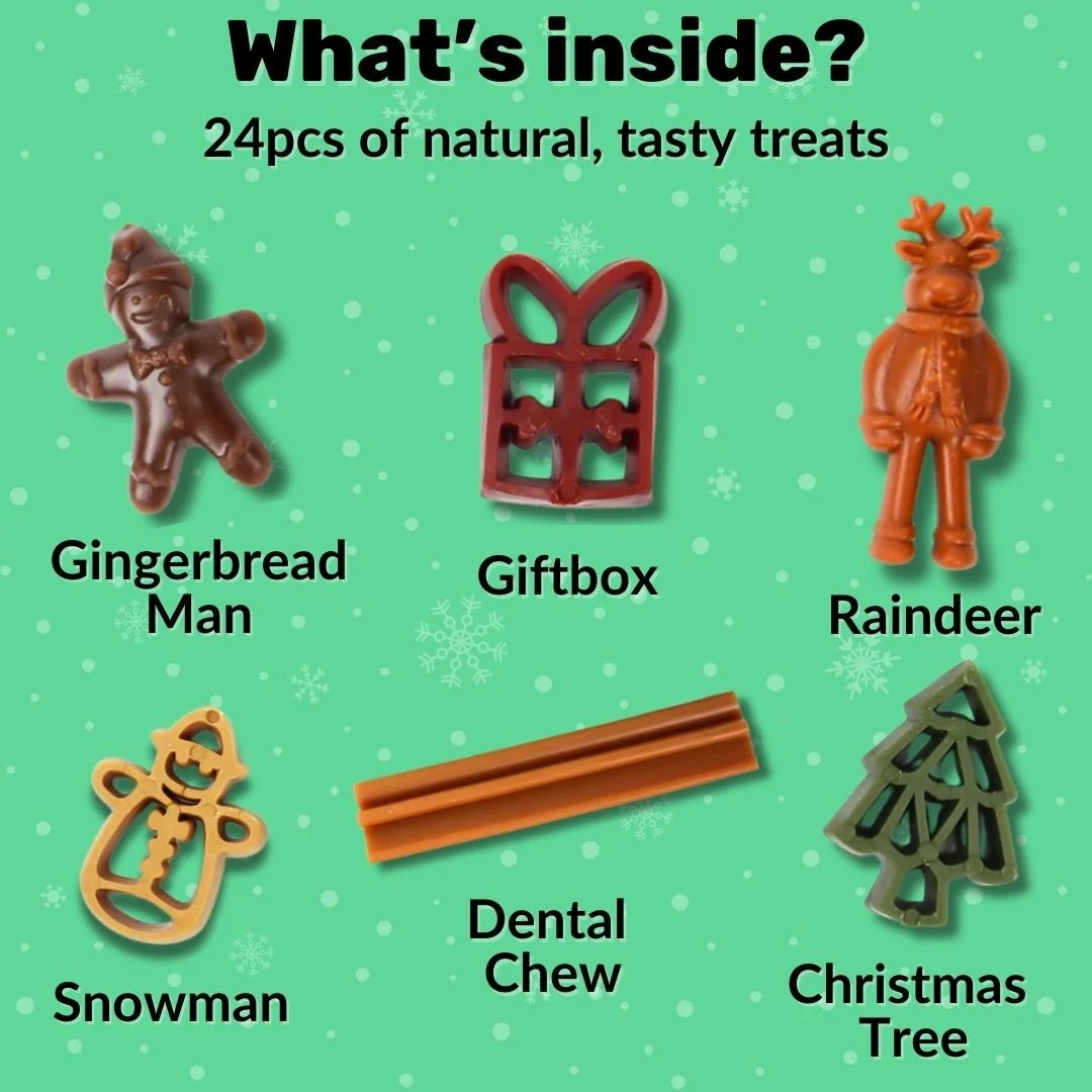 Dog Advent Calendar - Image 3