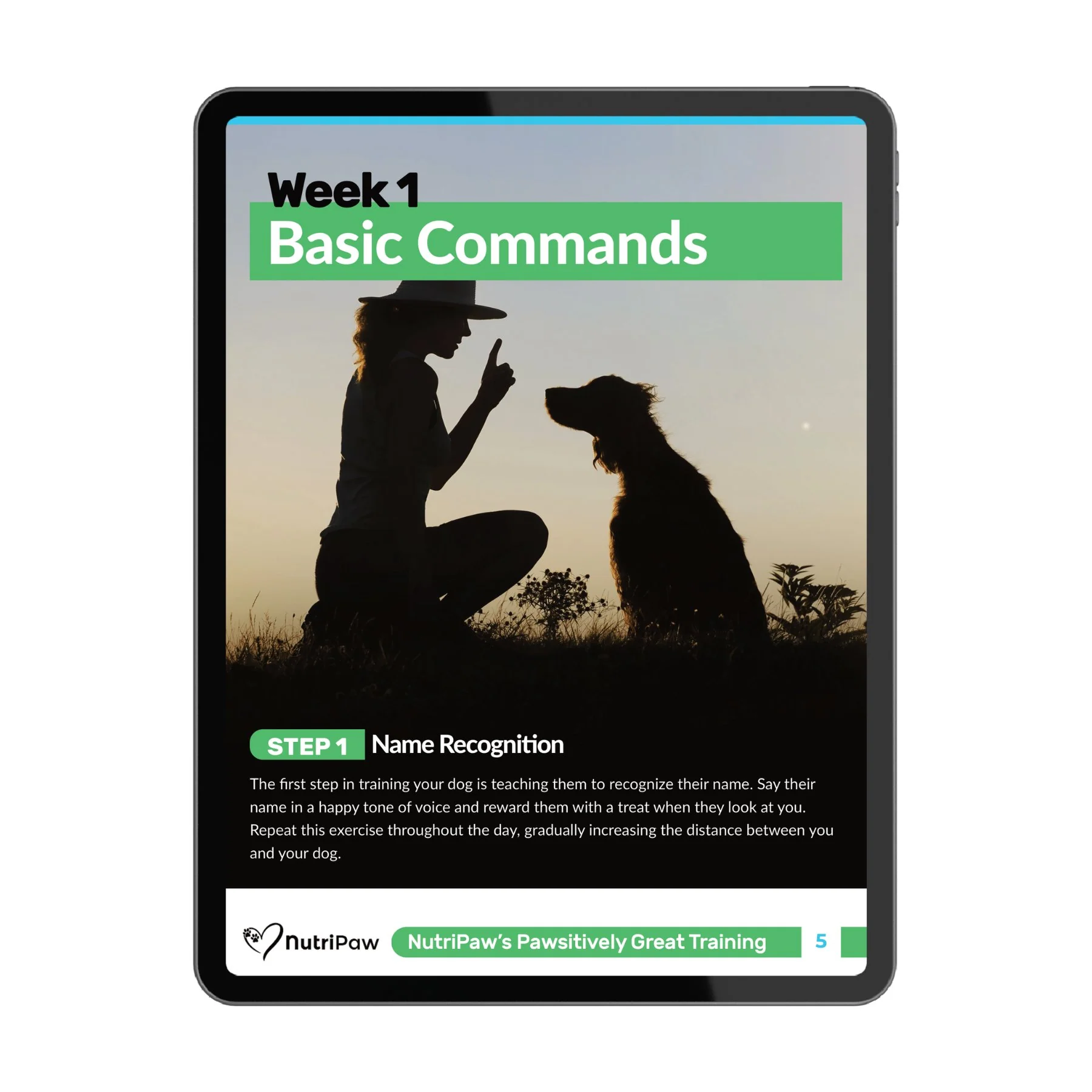 Dog Training Program - Image 4
