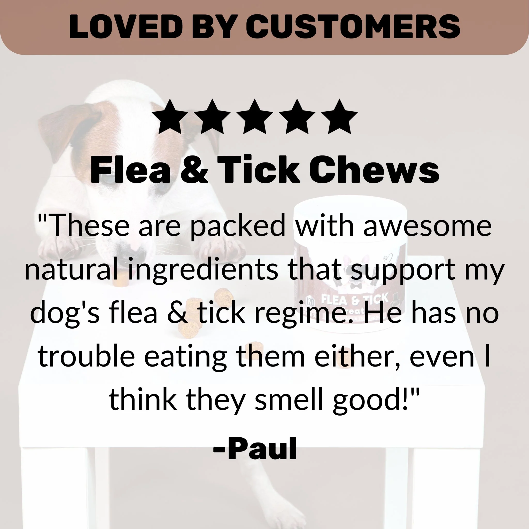 Flea & Tick Treats - Image 3