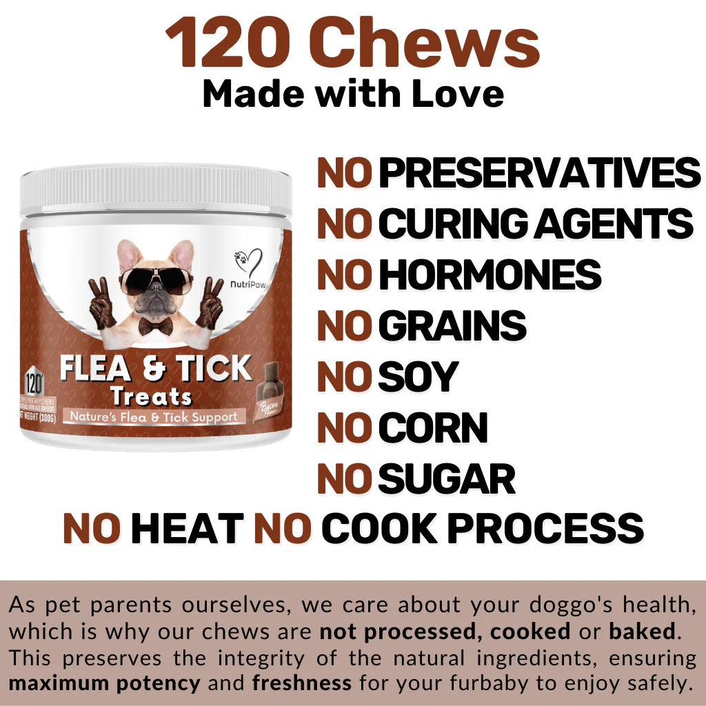Flea & Tick Treats - Image 9