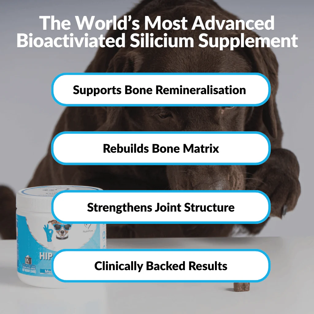 Hip & Joint Treats Plus BOGO - Image 6