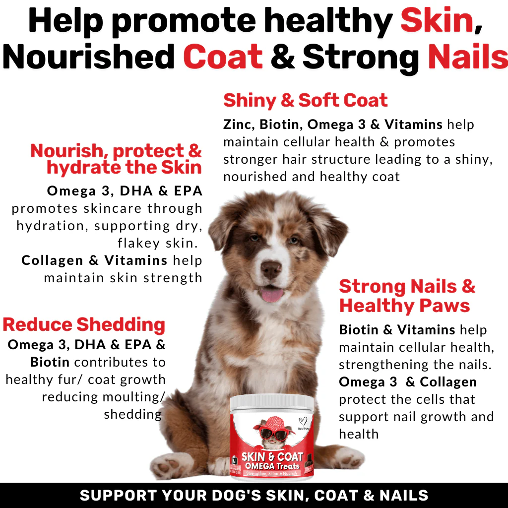 Nurture & Nourish Pack - Image 9