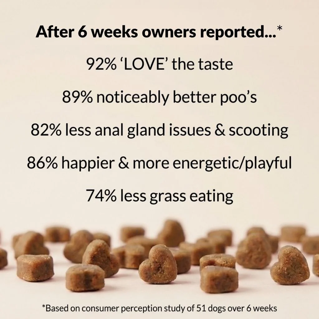 Pre, Pro & Postbiotic Digestive Treats - Image 5