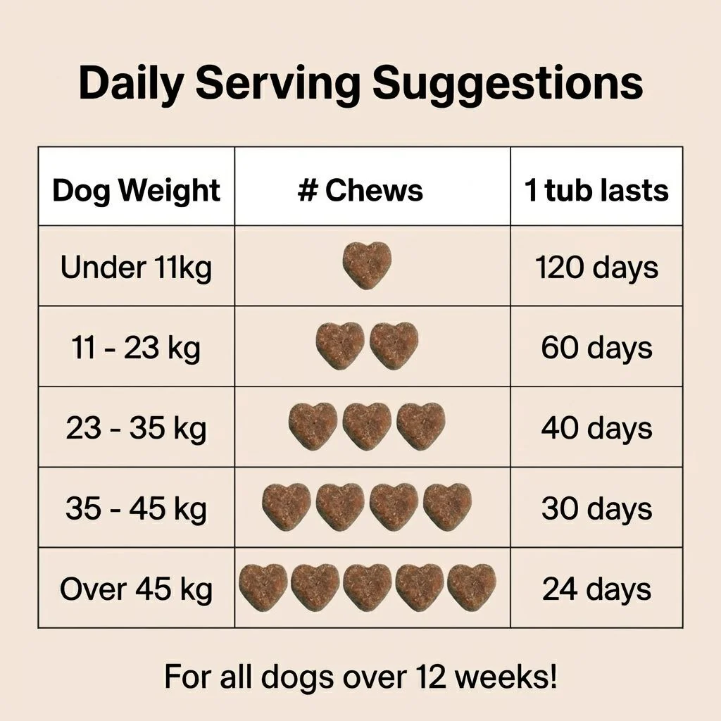 Pre, Pro & Postbiotic Digestive Treats - Image 8