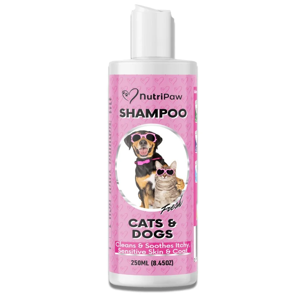 Shampoo
