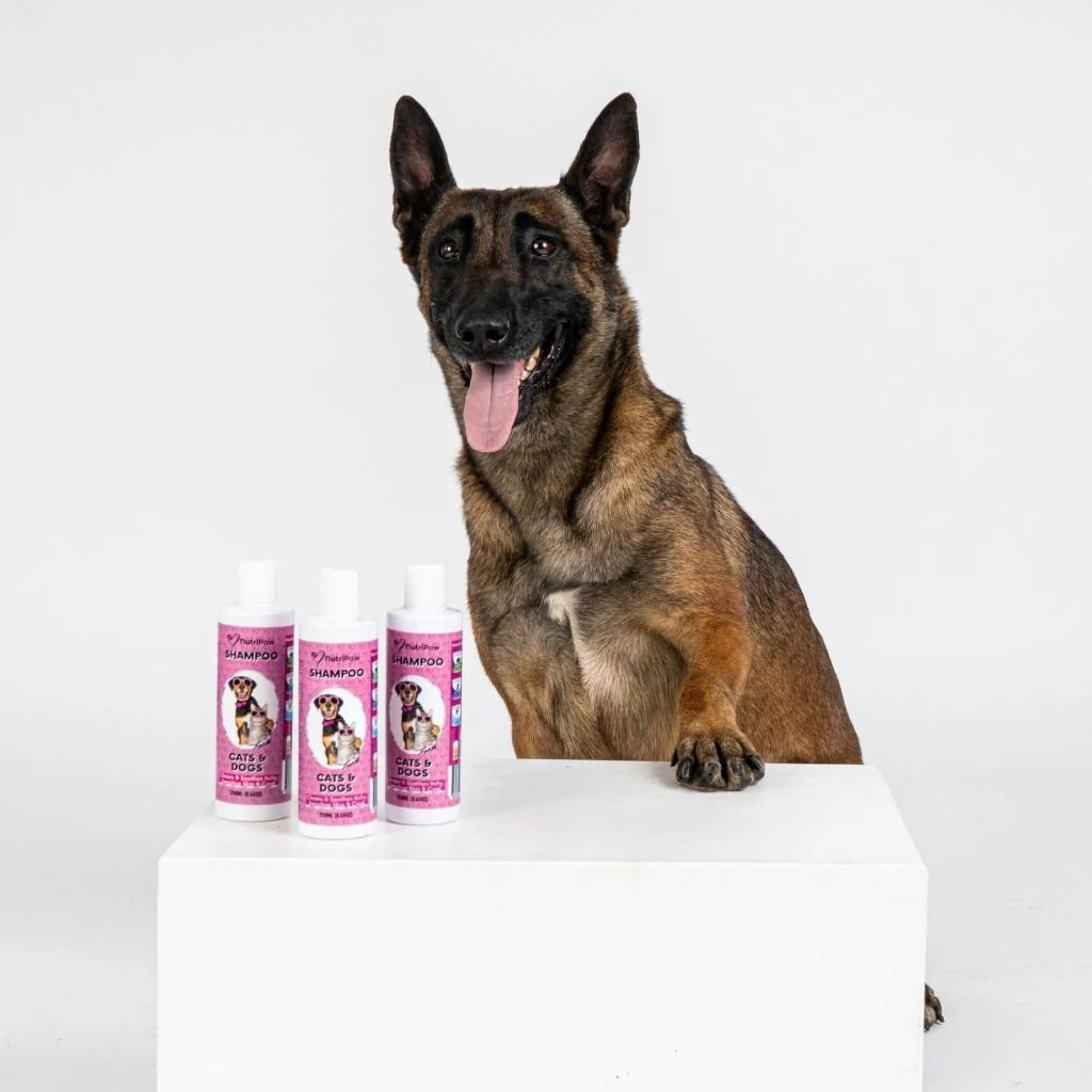 Shampoo - Image 5