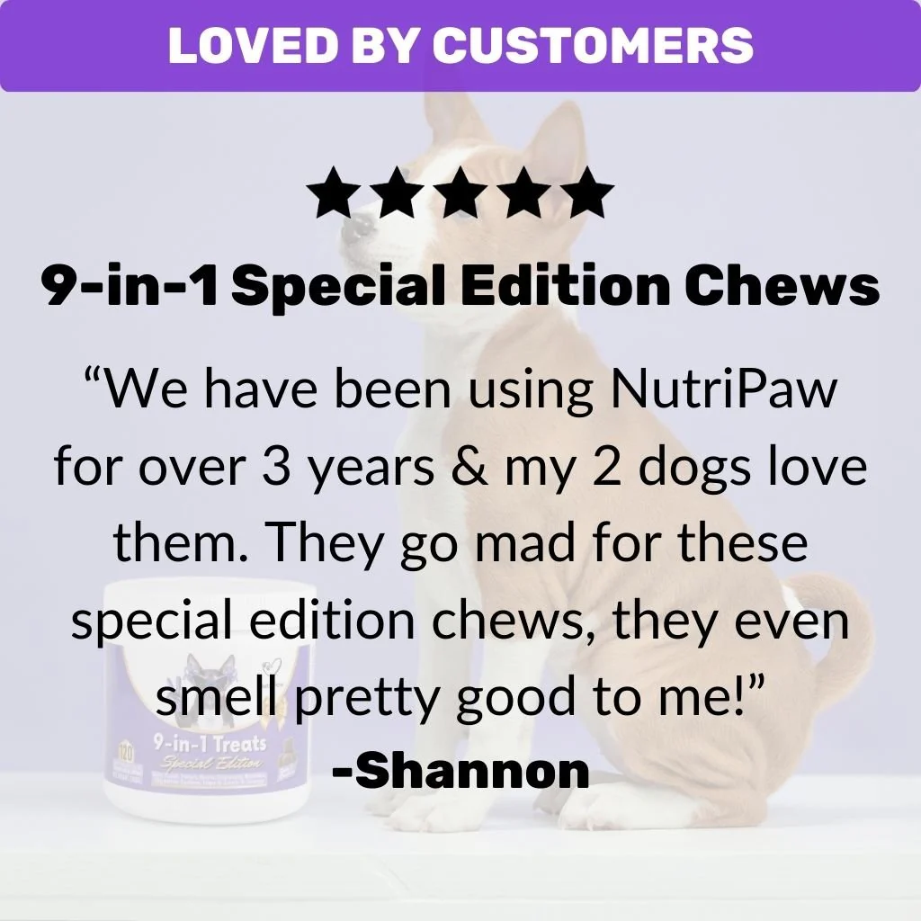 Special Edition 9-in-1 Treats - Image 5