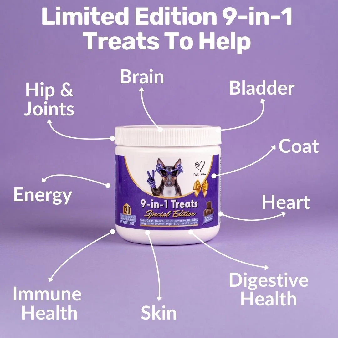 Holiday Treat Bundle - Image 6